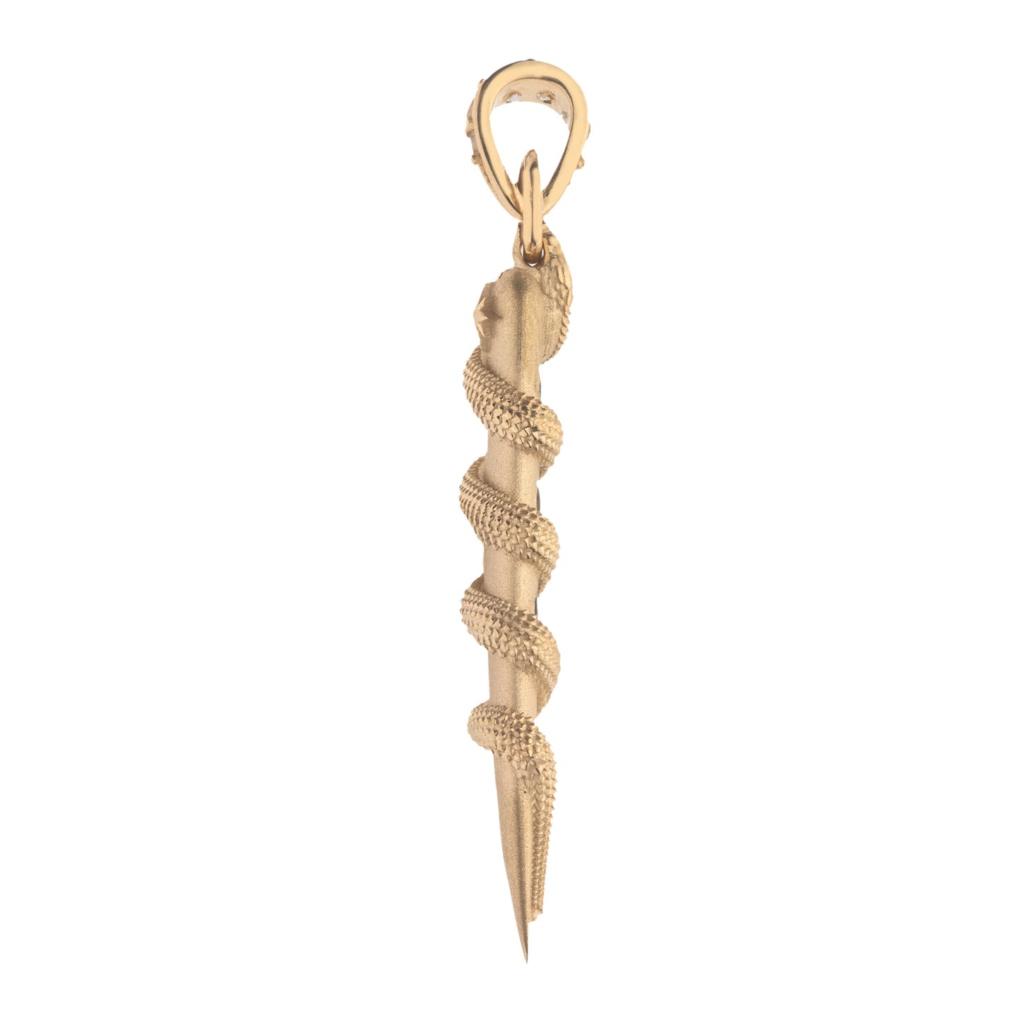 PROTECT Snake Wrapped Tusk Pendant